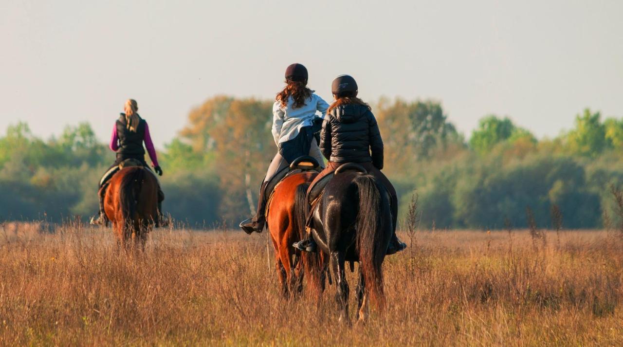 Homoki Bed & Beyond Glamping (adults Only) Station touristique